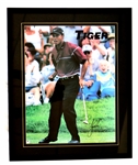 Tiger Woods Signed Framed 16x20 Photo (Pristine Auctions)